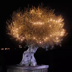 Garden Lights LED Linea 1 -Tuin Decoratie 1200x1200 7