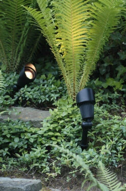 Garden Lights Tuinspot Focus LED -Tuin Decoratie 3151011 s1 Focus 2