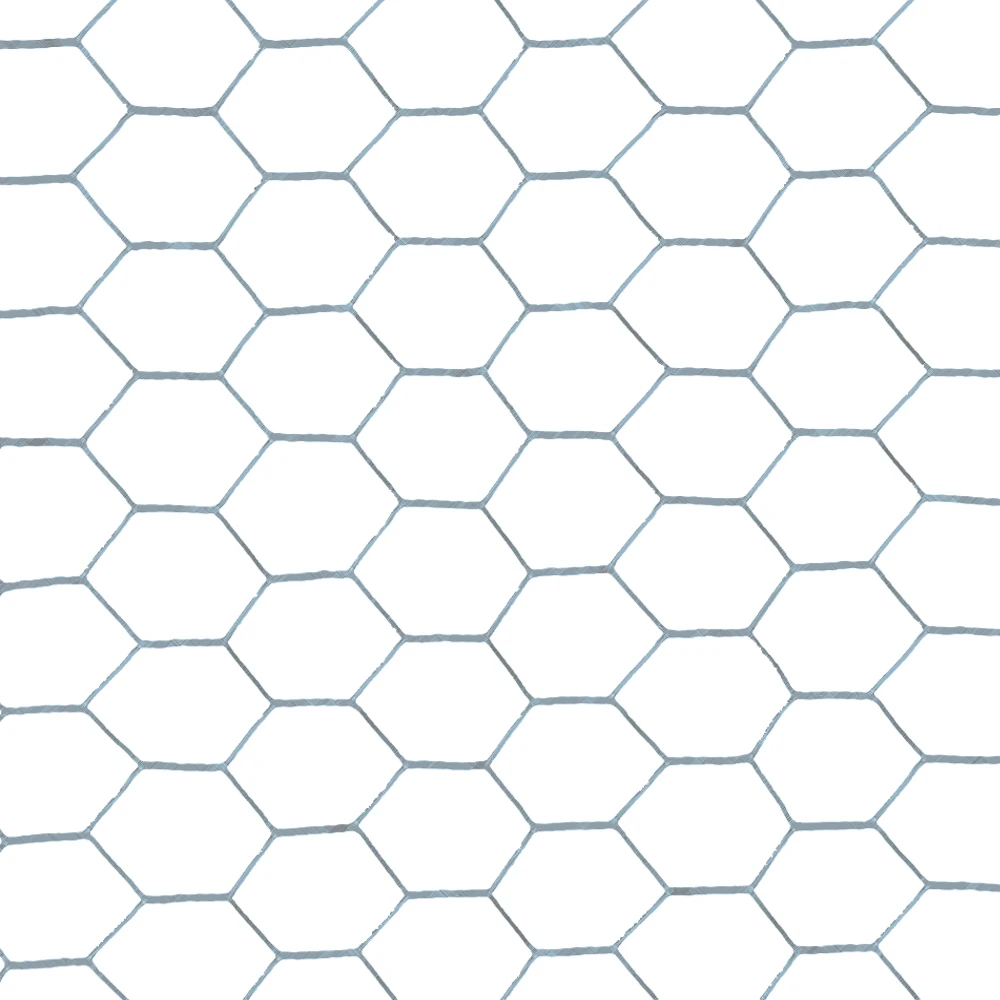 TTX Zeskant 50cm X 25m (25mm Maas)