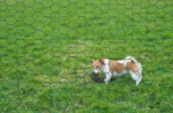 Tuin Decoratie -Tuin Decoratie 8711338502365 1