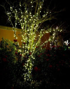 Garden Lights LED Linea 1 -Tuin Decoratie 947x1200