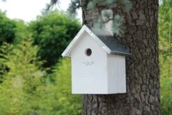Esschert Vogelhuis Pimpelmees Wit -Tuin Decoratie NK39W 40