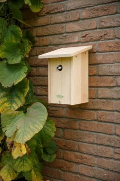 Esschert Nestkast Roodborst In Cadeaudoos -Tuin Decoratie NK95 40