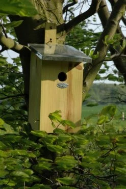 Esschert Vogelhuis Observatienestkast 25 Esschert Vogelhuis Observatienestkast -Tuin Decoratie NKO 40