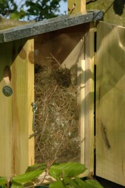 Esschert Vogelhuis Observatienestkast 23 Esschert Vogelhuis Observatienestkast -Tuin Decoratie NKO 41