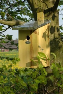 Esschert Vogelhuis Observatienestkast 24 Esschert Vogelhuis Observatienestkast -Tuin Decoratie NKO 42