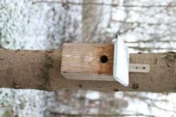 Esschert Vogelhuis Observatienestkast 22 Esschert Vogelhuis Observatienestkast -Tuin Decoratie NKO 44
