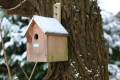 Esschert Vogelhuis Pimpelmees -Tuin Decoratie NKP 40