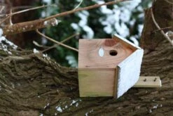 Esschert Vogelhuis Pimpelmees -Tuin Decoratie NKP 41