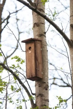 Esschert Vogelhuis Nestkast Grote Bonte Specht -Tuin Decoratie NKX 40