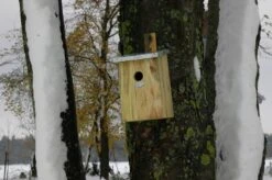 Esschert Vogelhuis Spiegelnestkast -Tuin Decoratie NKY 40