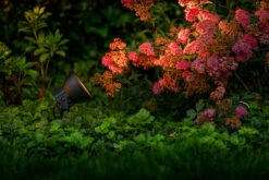 Garden Lights Tuinspot Raf LED -Tuin Decoratie Raf 3211011 1