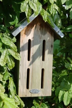Esschert Insectenhotel Vlinderkast -Tuin Decoratie VC3 41